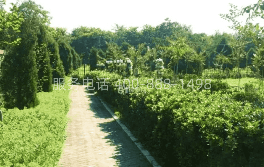 外侨公墓陵园环境